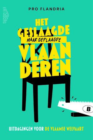 Het geslaagde maar geplaagde Vlaanderen