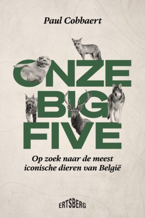 Onze Big Five